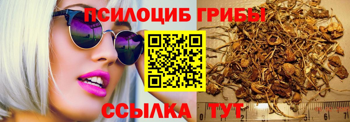 Псилоцибиновые грибы Psilocybine cubensis  Вход с VPN  как найти закладки  Кимры  Псилоцибиновые грибы мухоморы 
